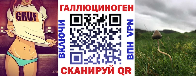 Галлюциногенные грибы Psilocybine cubensis  это как зайти  Ангарск  где найти наркотики 
