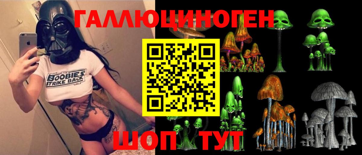 Галлюциногенные грибы MAGIC MUSHROOMS  где купить наркотик  Ангарск  Вход с VPN 