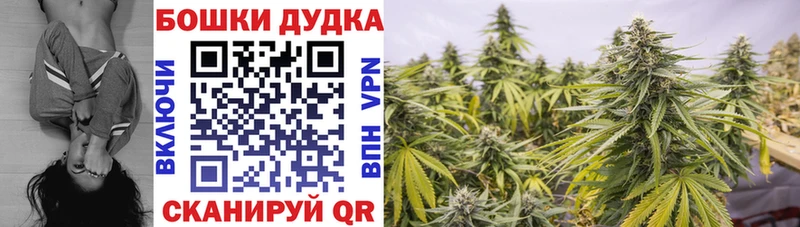 OMG ONION  Ангарск  Бошки марихуана Bruce Banner 